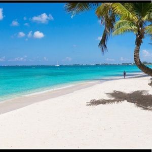 Meet your Posher, Danii